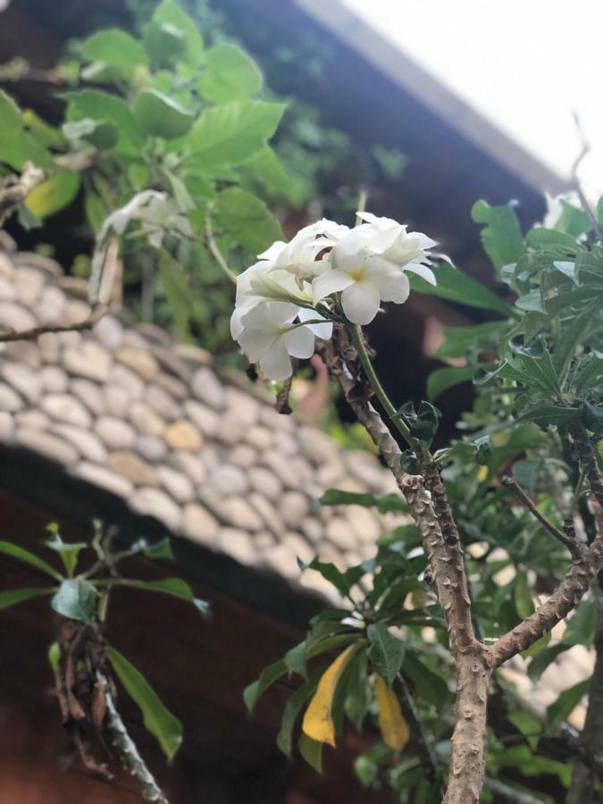 Melati Bali 2 Hotel ชังกู ภายนอก รูปภาพ